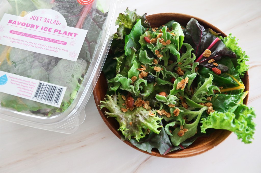 Just Salad from Just Produce by Archisen Singapore - WILDCHILD SG