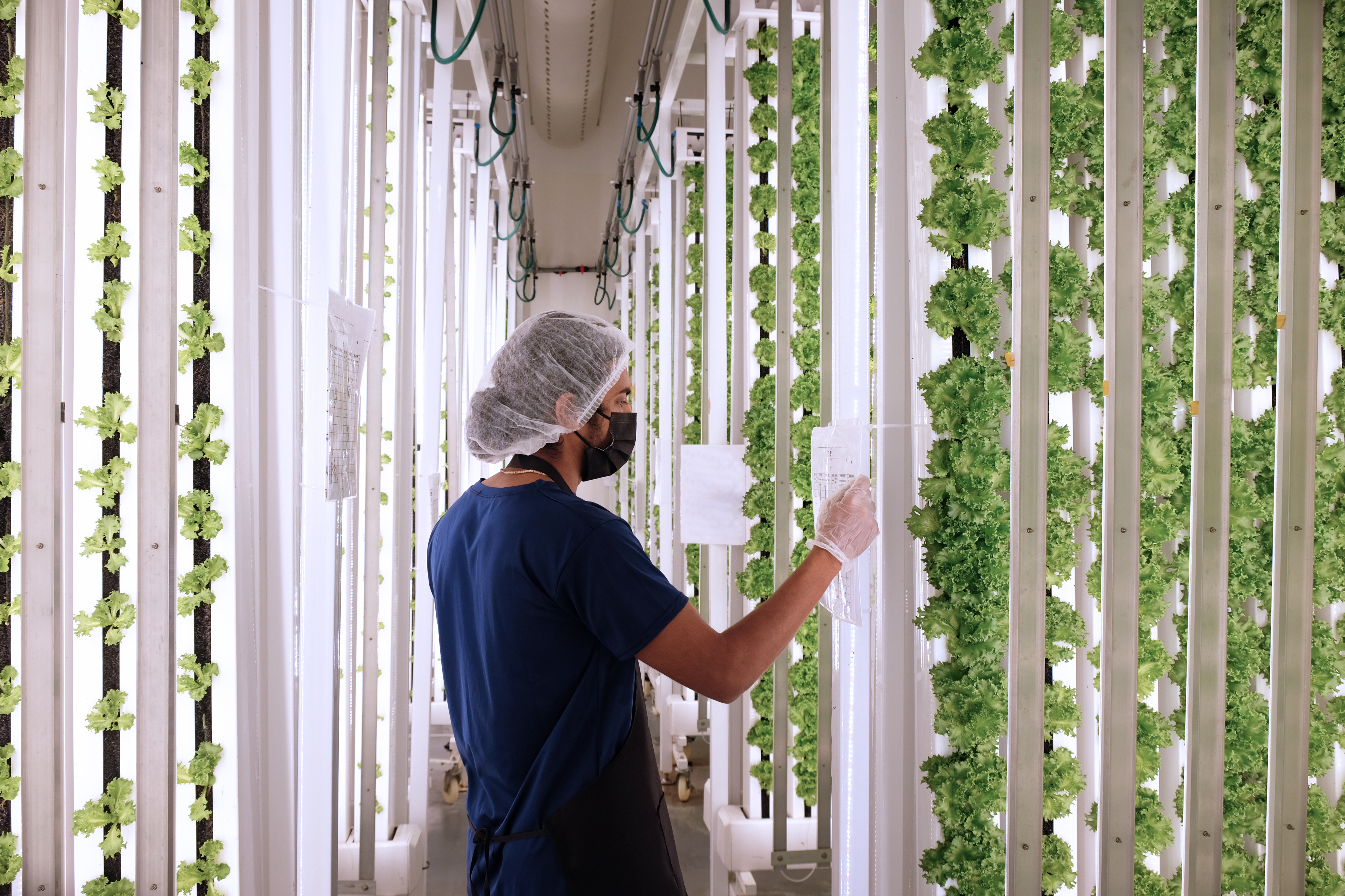 Archisen Singapore - WILDCHILD SG