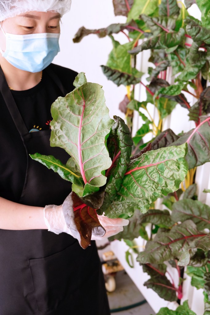 Archisen Singapore - WILDCHILD SG